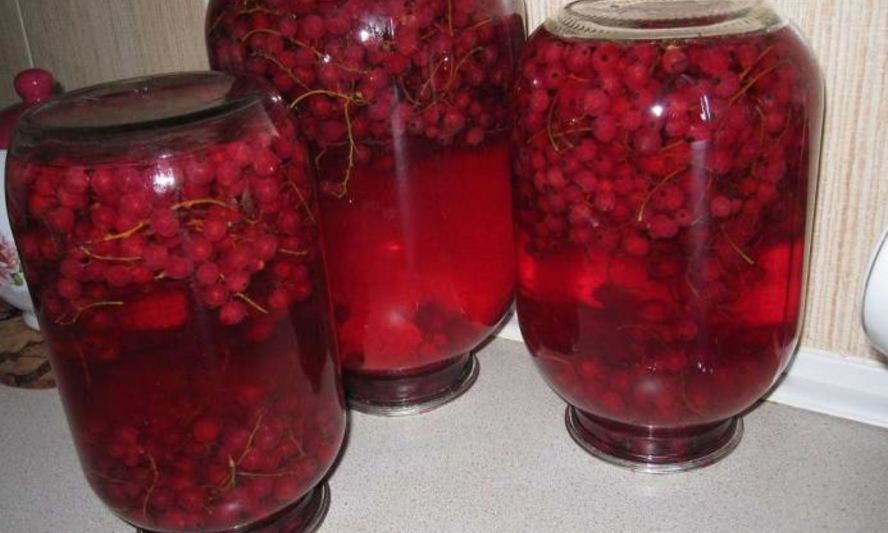 Рецепт компота из красной смородины на зиму
