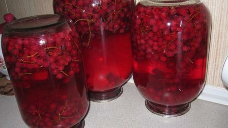 компот из красной смородины на зиму