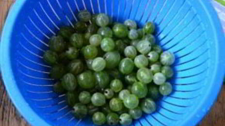 компот из крыжовника с апельсином на зиму