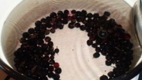 компот из свежих ягод