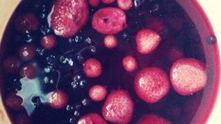 Компот из замороженных ягод