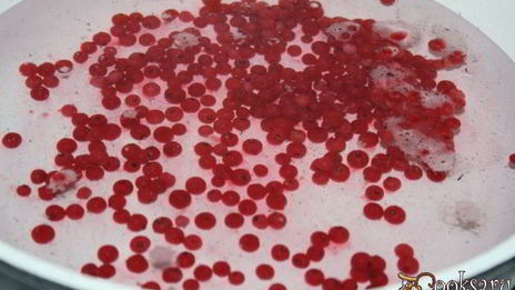 компот-крюшон со смородиной и гибридом мандарина с гранатом