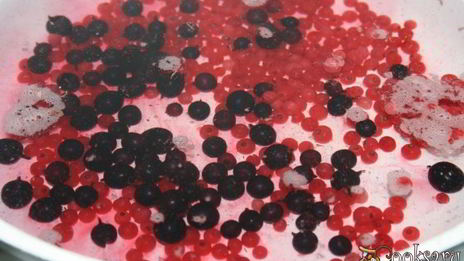 компот-крюшон со смородиной и гибридом мандарина с гранатом