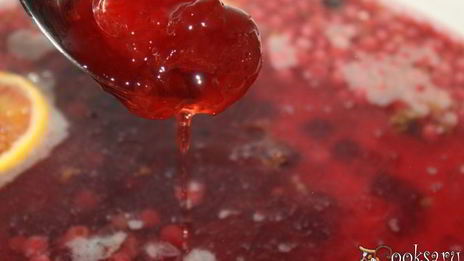 компот-крюшон со смородиной и гибридом мандарина с гранатом
