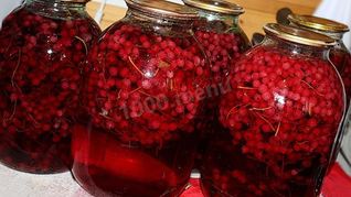 Компот на зиму из красной и белой смородины