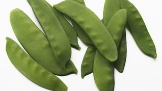 Консервирование зеленого горошка