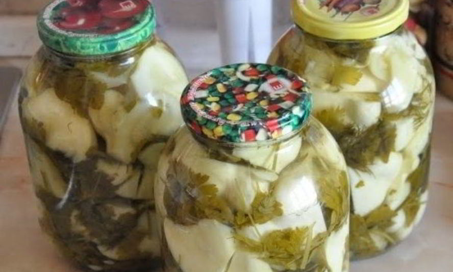 Рецепт консервированных патиссонов без уксуса