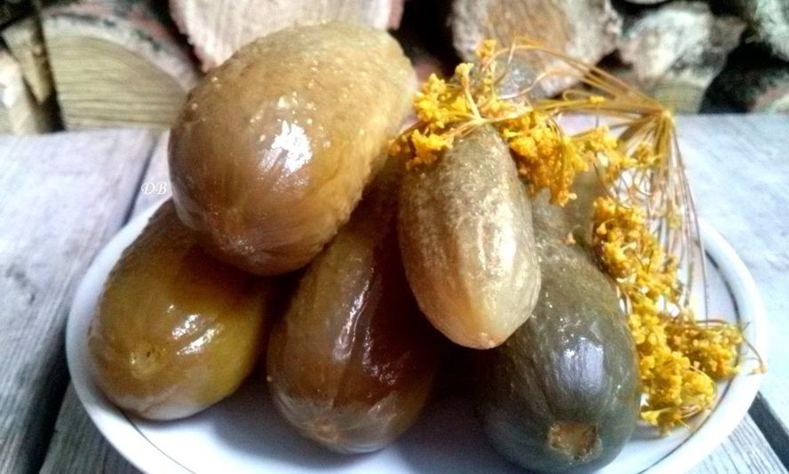 Рецепт квашеных огурцов без закатки