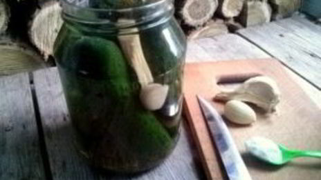 квашеные огурцы без закатки