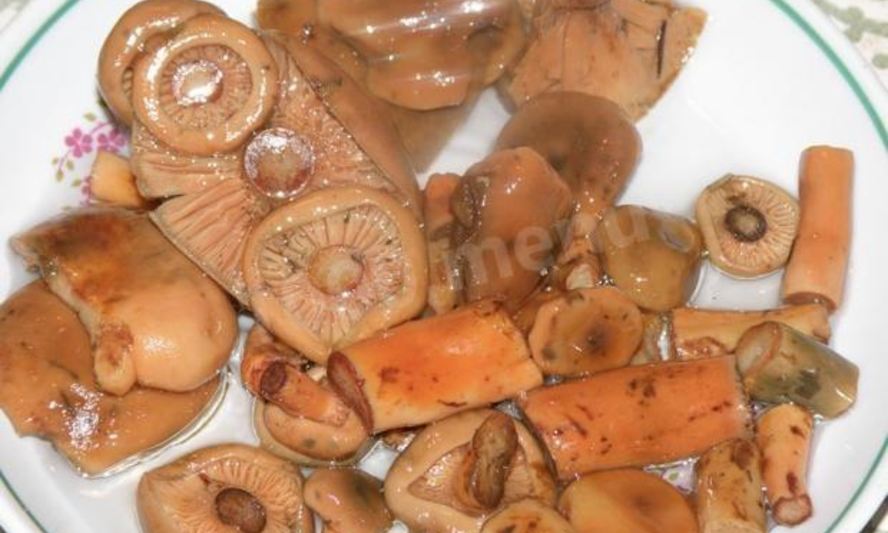 Рецепт грибов рыжики маринованные на зиму