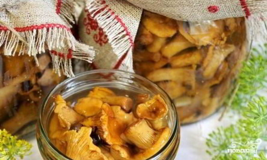 Рецепт лисичек маринованных соленых
