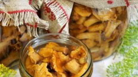 лисички маринованные соленые