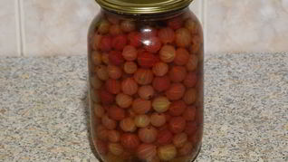 Маринованный крыжовник