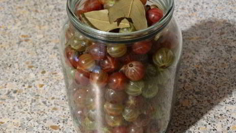 маринованный крыжовник