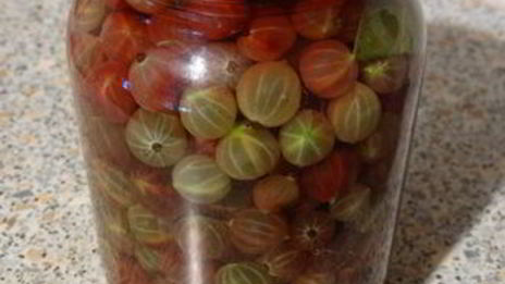 маринованный крыжовник