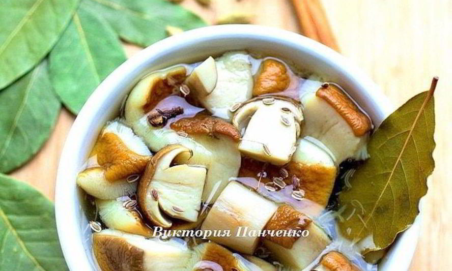 Рецепт маринованных белых грибов
