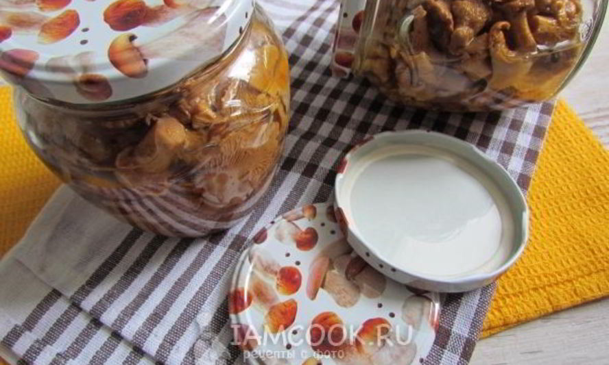 Рецепт маринованных лисичек на зиму