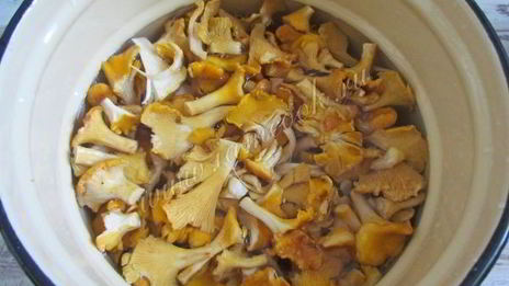 маринованные лисички на зиму