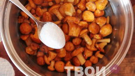 маринованные лисички