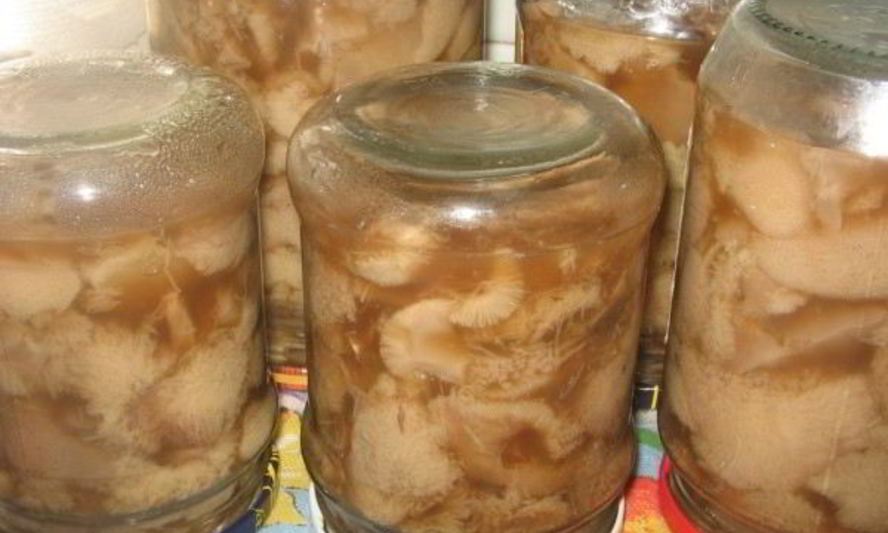 Рецепт маринованных маслят быстро