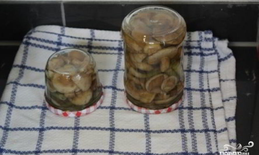 Рецепт маринованных маслят за сутки