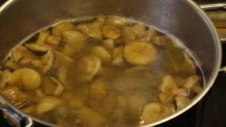 маринованные маслята за сутки