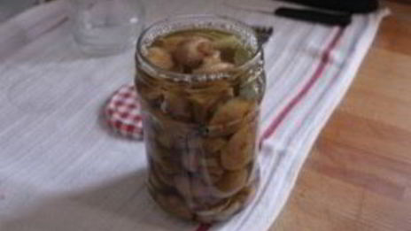 маринованные маслята за сутки