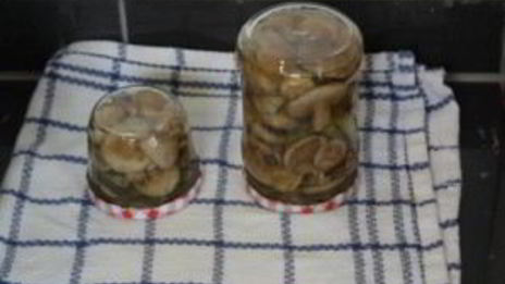 маринованные маслята за сутки