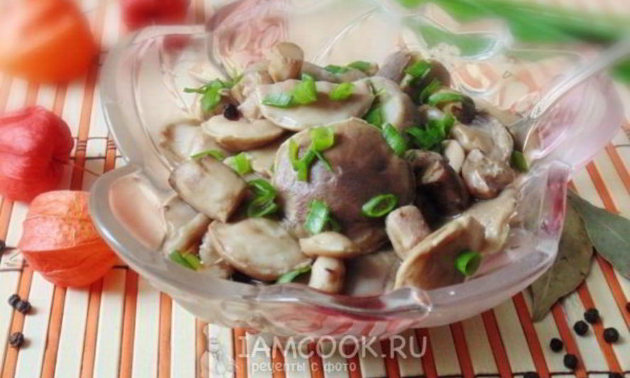 Рецепт маринованных маслят