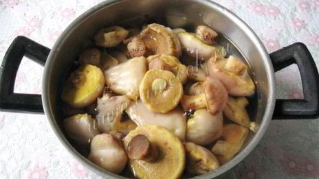 маринованные маслята