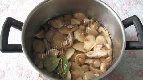 маринованные маслята