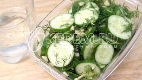 маринованные огурчики быстрые