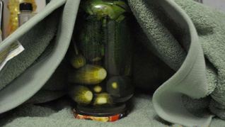 Маринованные огурцы на зиму