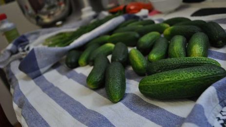 маринованные огурцы на зиму