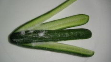 маринованные огурцы с укропом