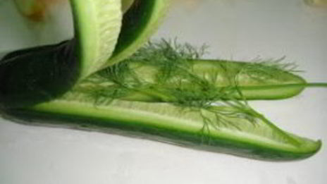 маринованные огурцы с укропом