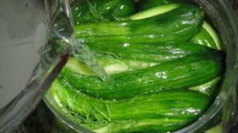 маринованные огурцы с укропом