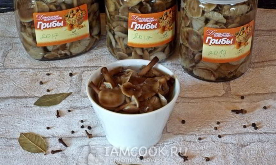 Рецепт маринованных опят бабушкины