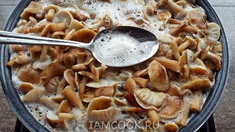 маринованные опята бабушкины