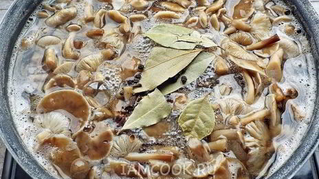 маринованные опята бабушкины