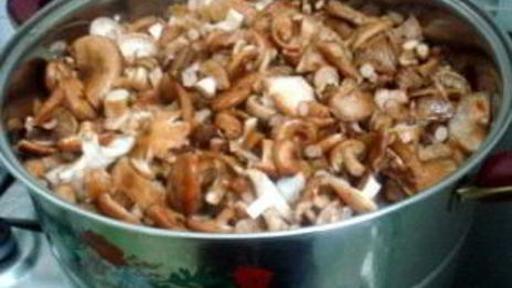 маринованные опята с гвоздикой