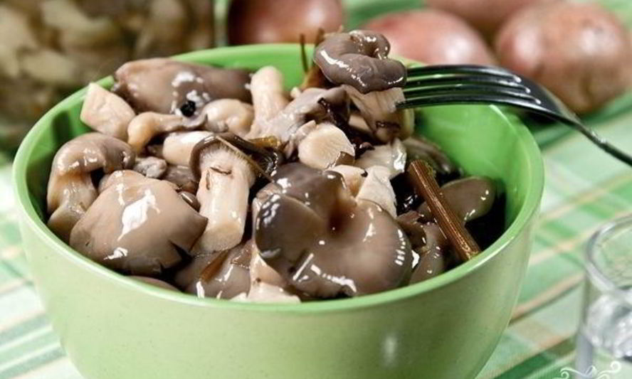 Рецепт маринованных вешенок