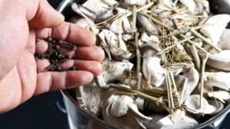 маринованные вешенки