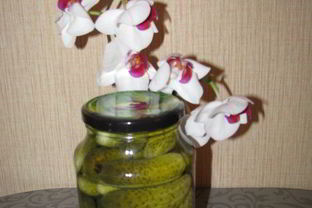 Огурчики маринованные по-венгерски