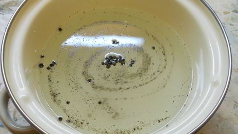 острая маринованная капуста