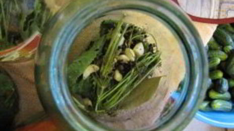 огурцы без уксуса на зиму