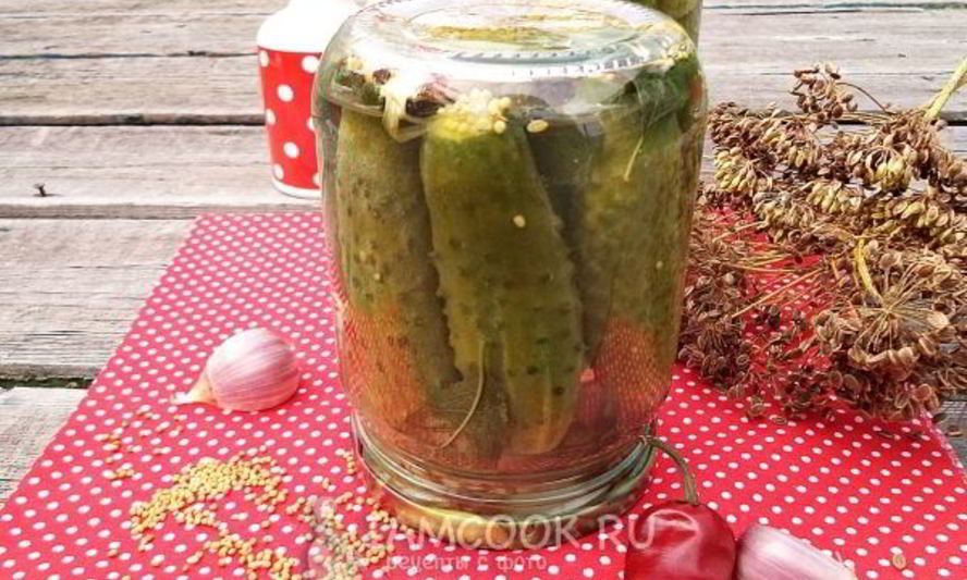 Рецепт огурцов с семенами горчицы на зиму