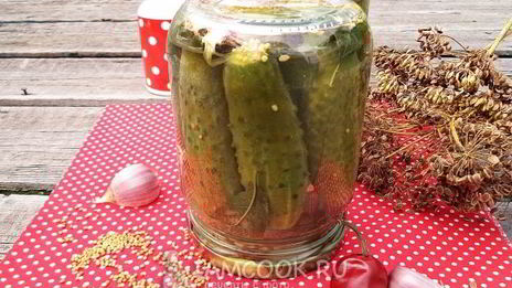 огурцы с семенами горчицы на зиму