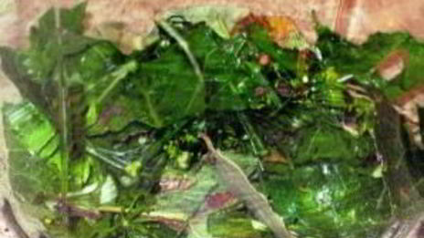 помидоры квашеные