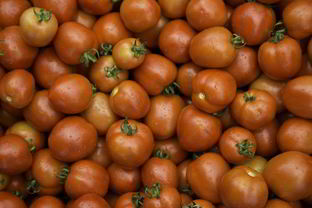 Помидоры в мультиварке на зиму